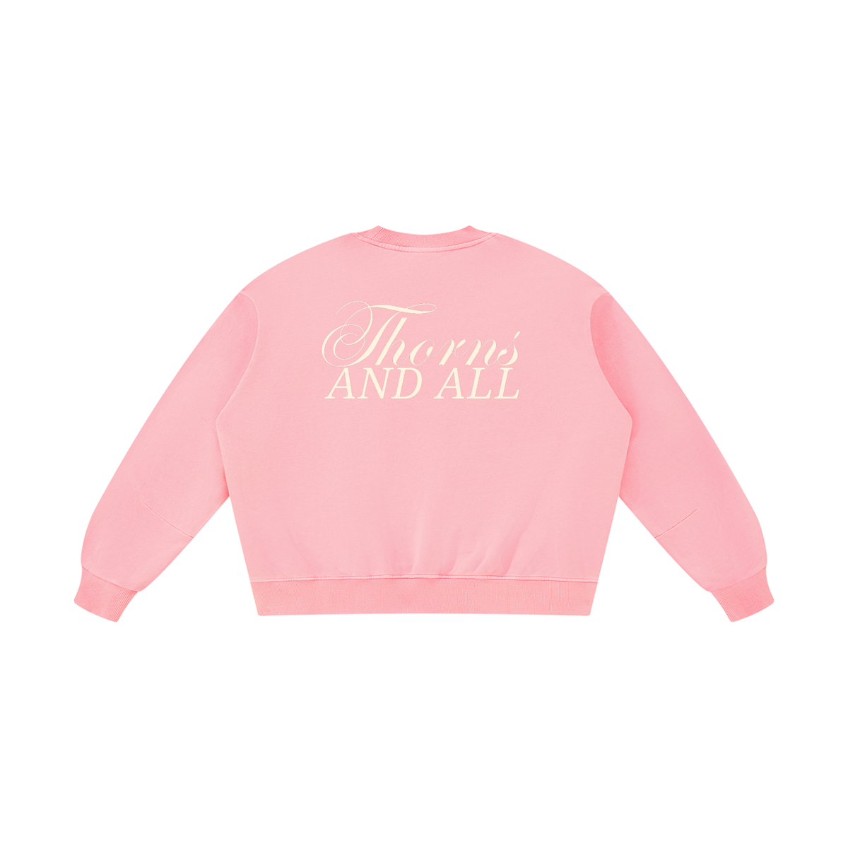 Curse Breaker ACOTAR Vintage Washed Sweatshirt